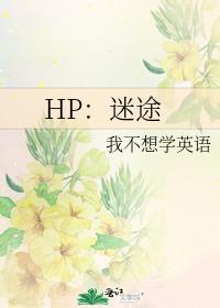 HP迷途归途晋江